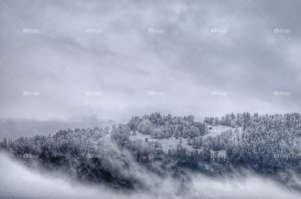 Landscape, Winter, Snow, Nature, Fog