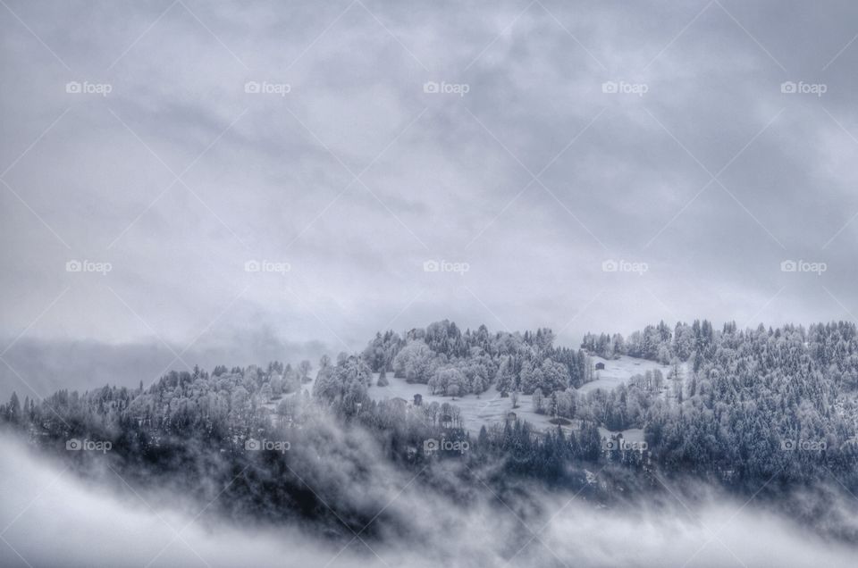 Landscape, Winter, Snow, Nature, Fog