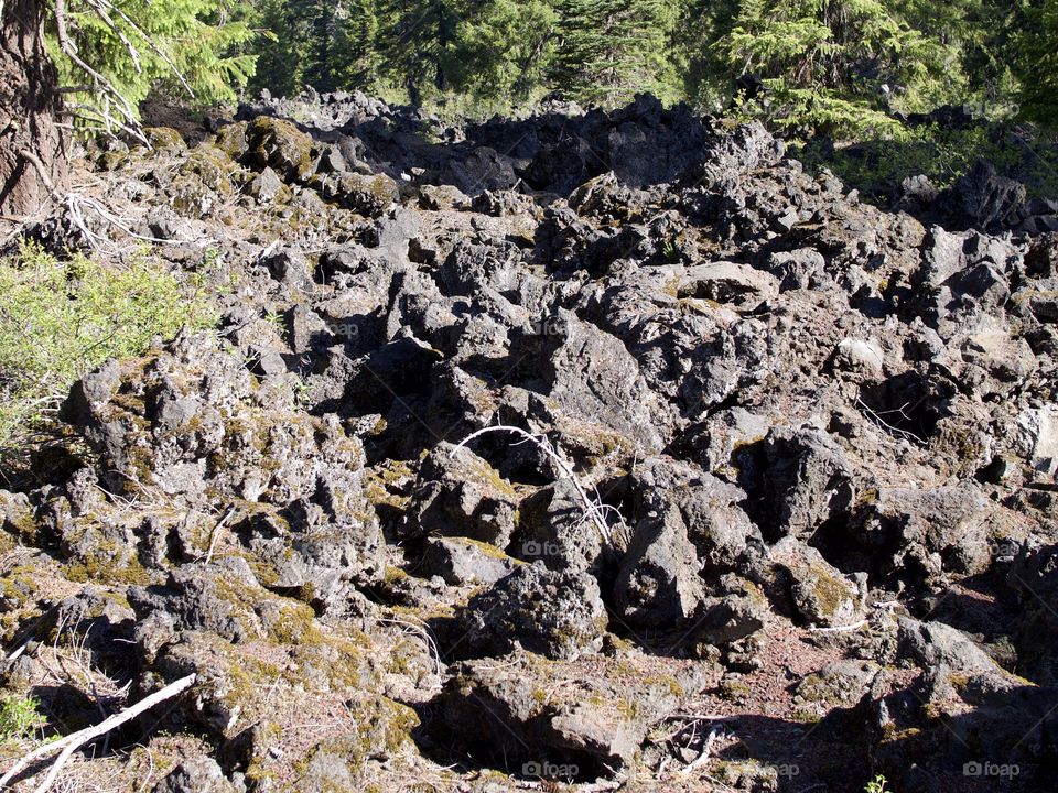 Jagged and rugged hardened lava rock high up in Oregon’s Cascade Mountains and forests on a sunny summer morning. 