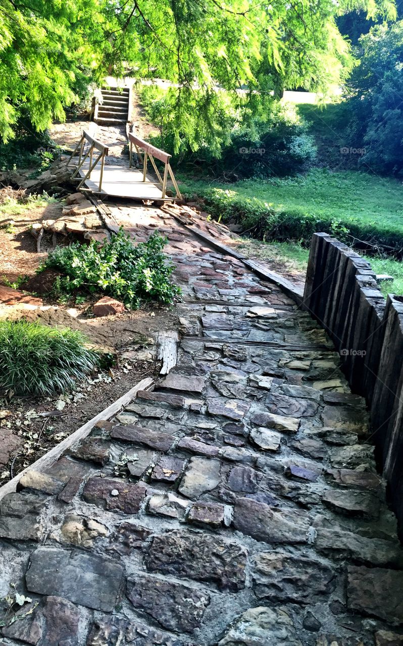 View of footpath in forest