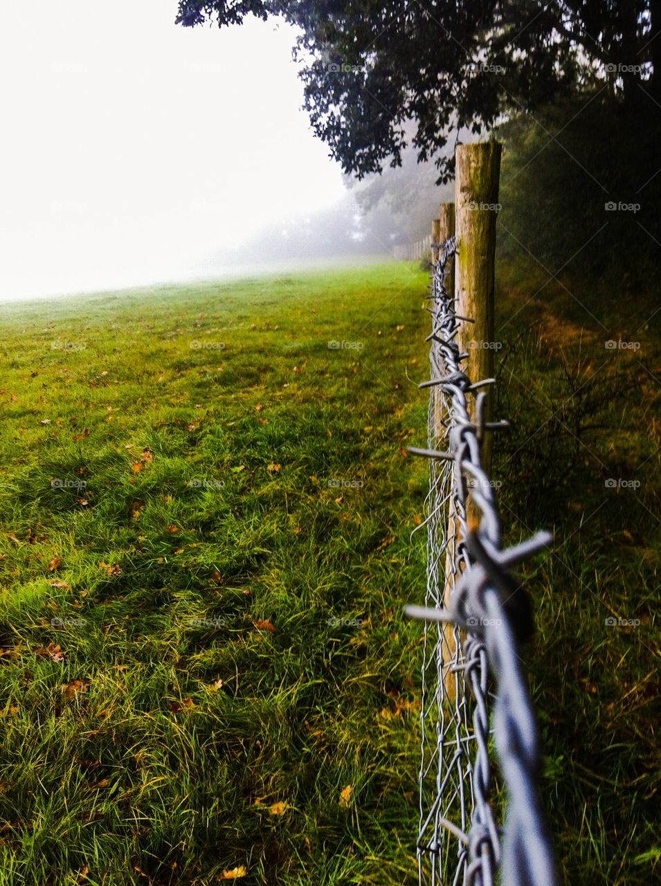 Fenced