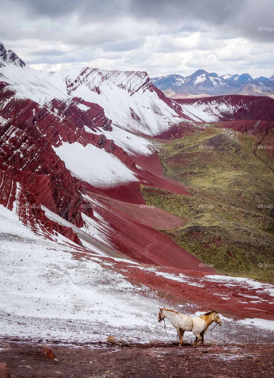 Memories from a beautiful crazy place called Red Valley that I was lucky enough to see it snowed, as in my opinion added to the contrast of the valley's colors