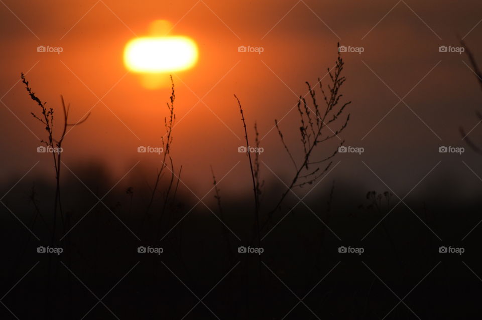 silhouette and shadow