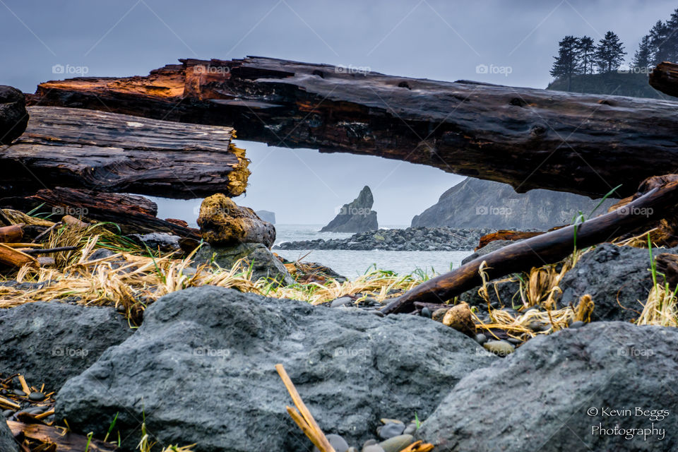 La Push 3