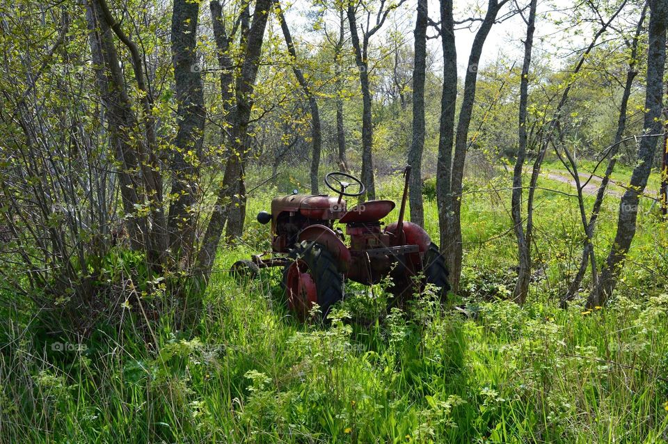 Jalopy. old tractor in nature