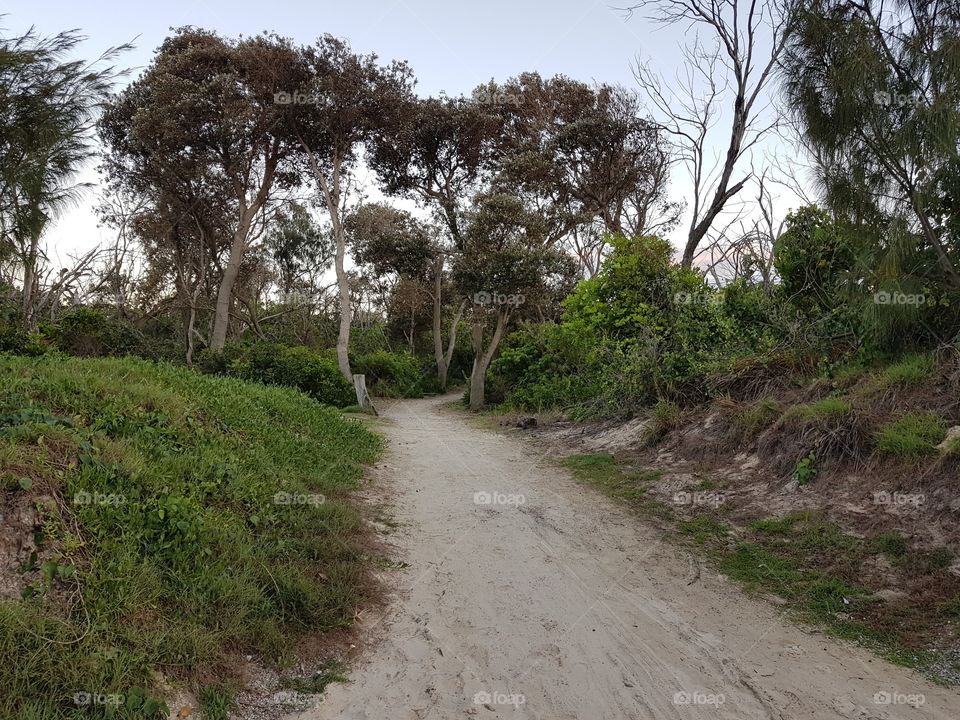 Beach nature walk