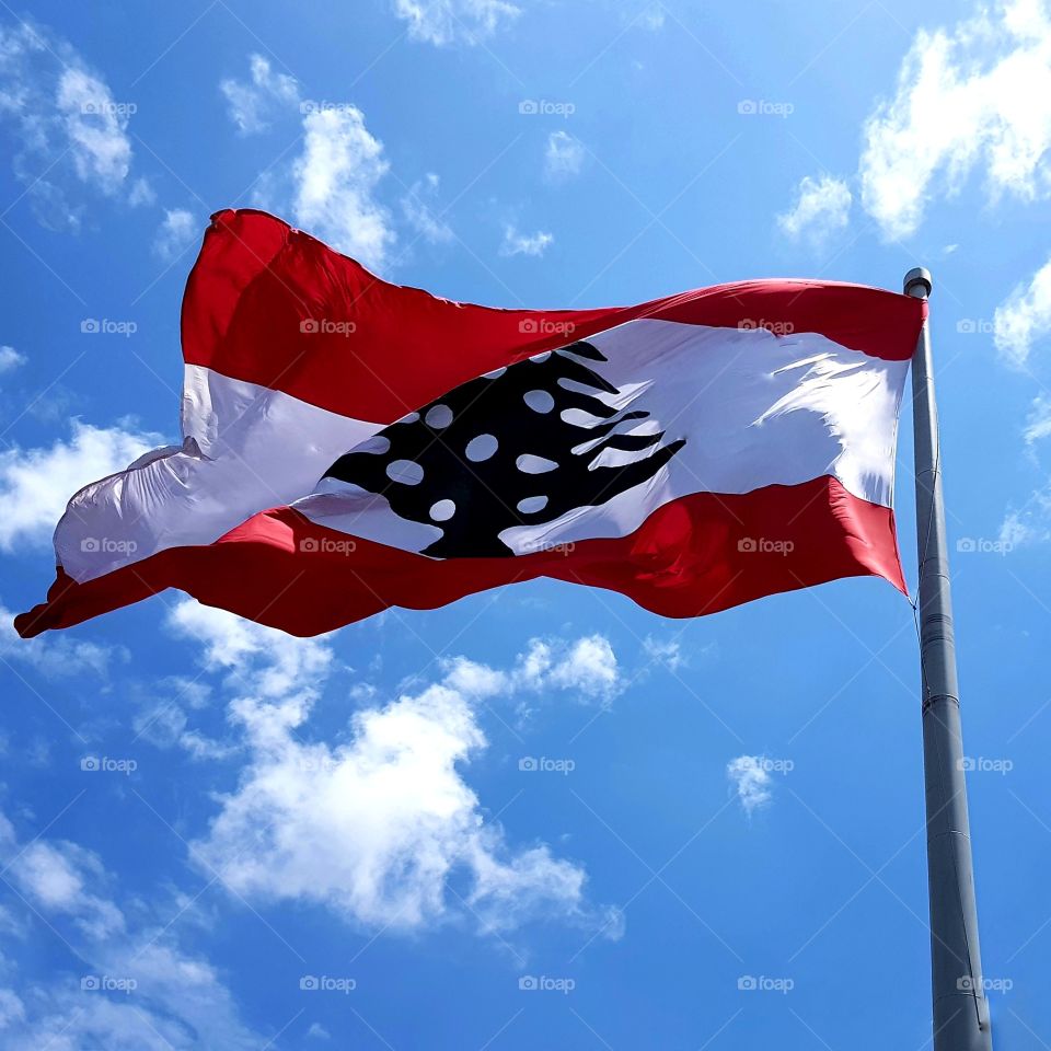 Lebanese Flag