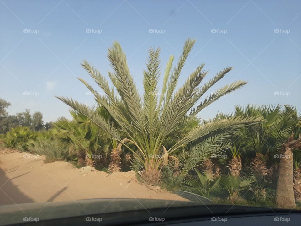 Please make me happy, I am poor, I need your help with support