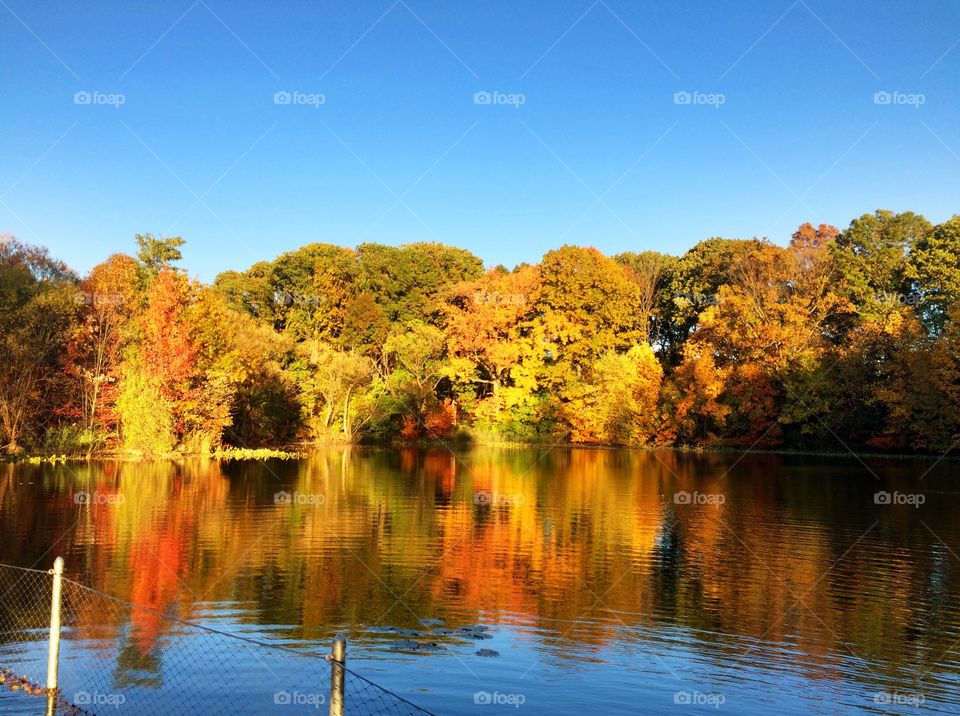 Late afternoon reflections in Prospect Park