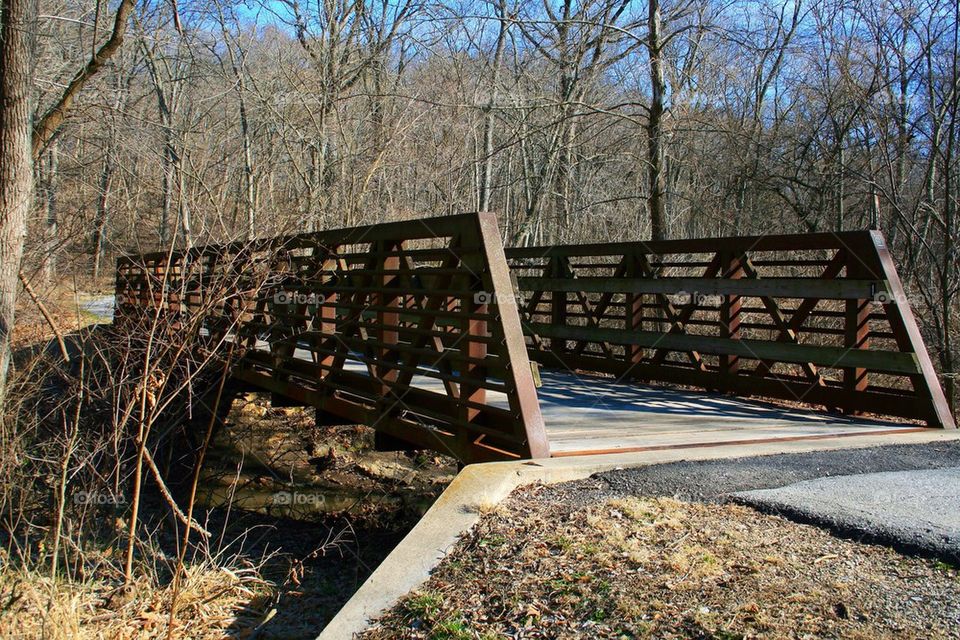 Bridge to a Trail