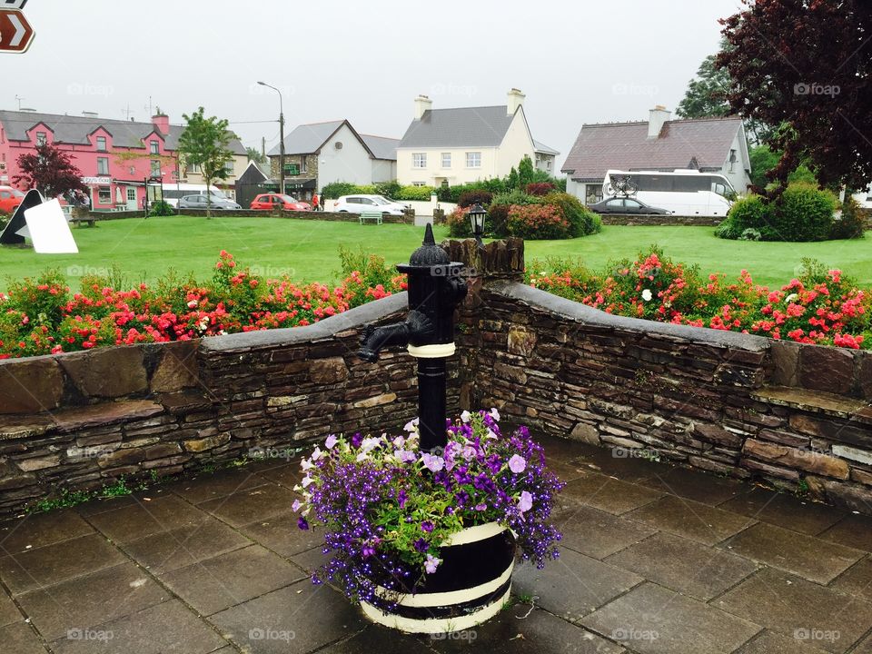 Pretty flower display in small Ireland town