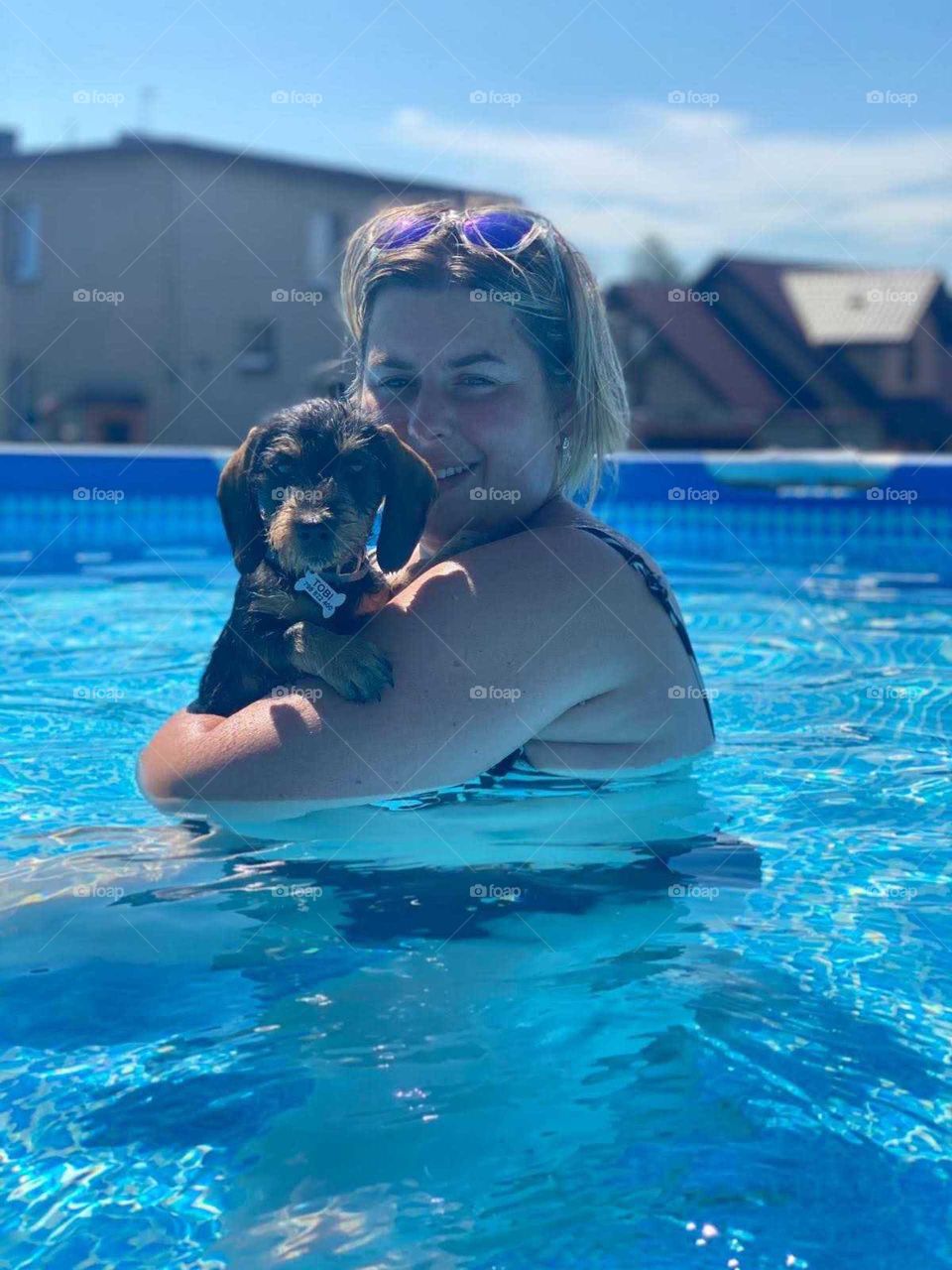 Jamnik szorstkowłosy