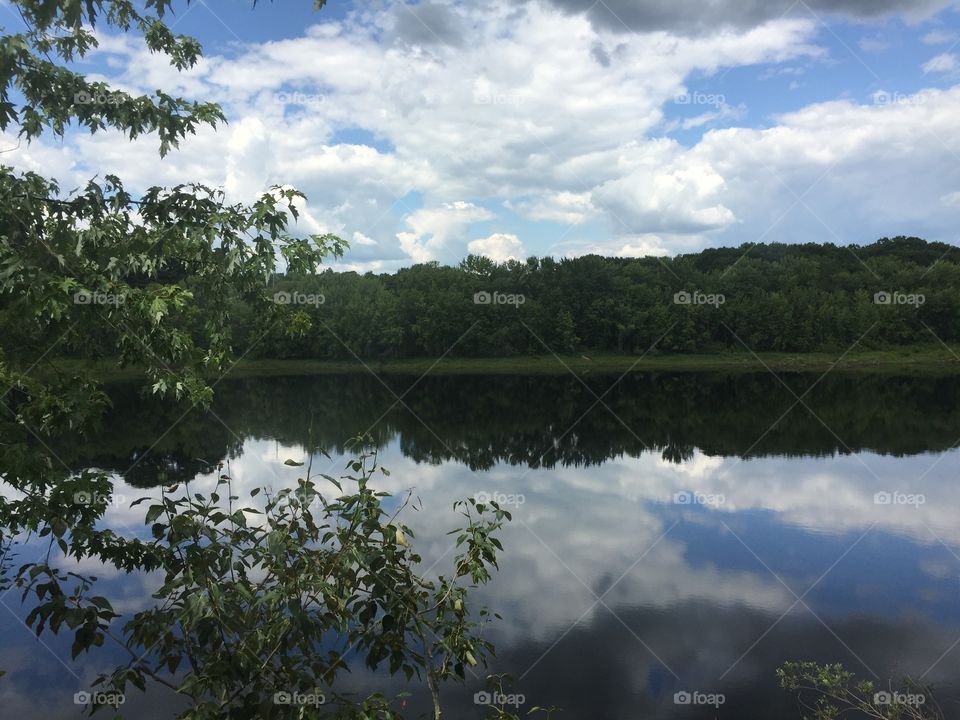 Incredible Reflections! Using water, mirrors, windows or any sort of reflective surface can change an image into s work of art! 