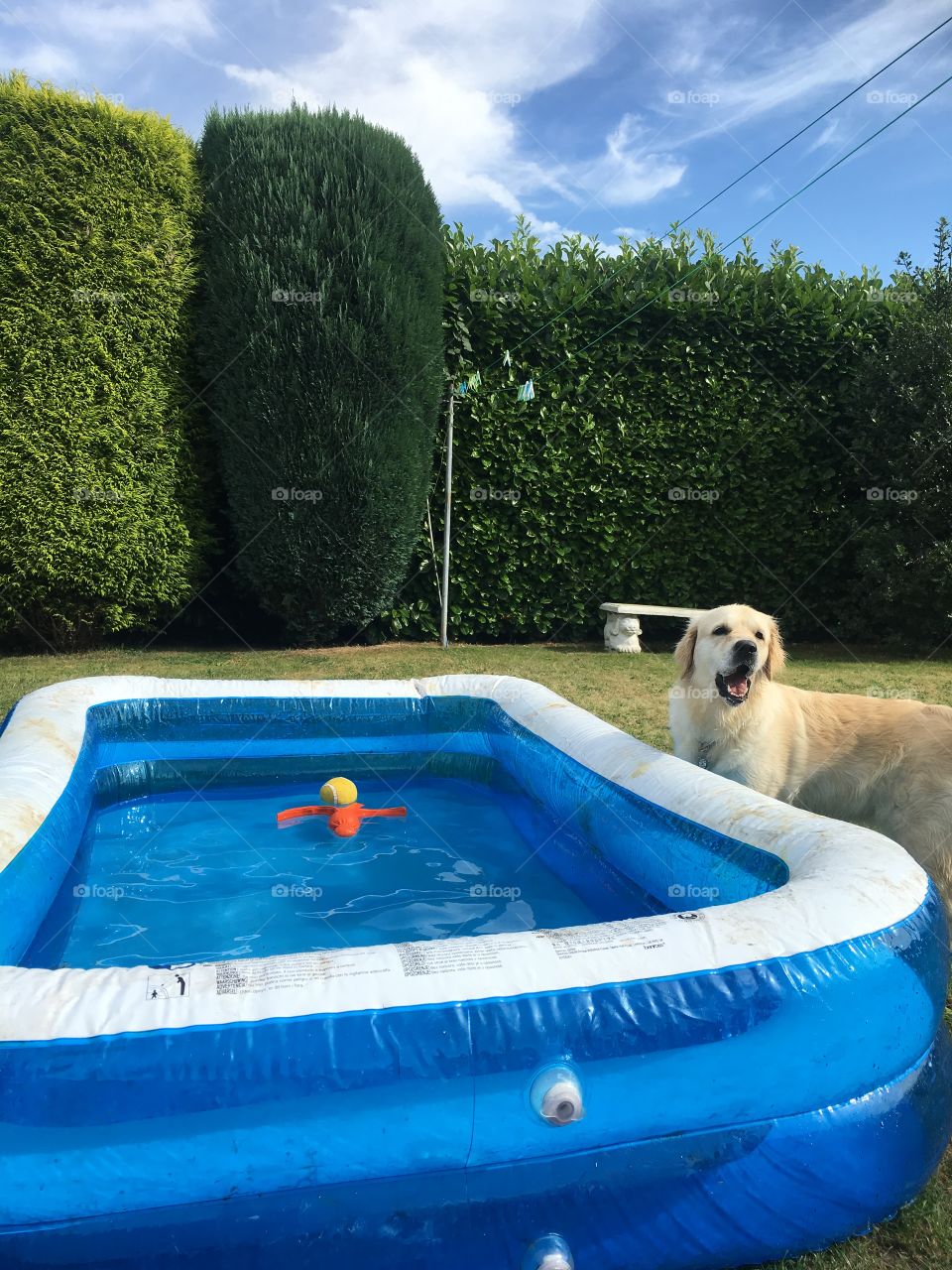 Bathtub, Dug Out Pool, No Person, Swimming Pool, Swimming
