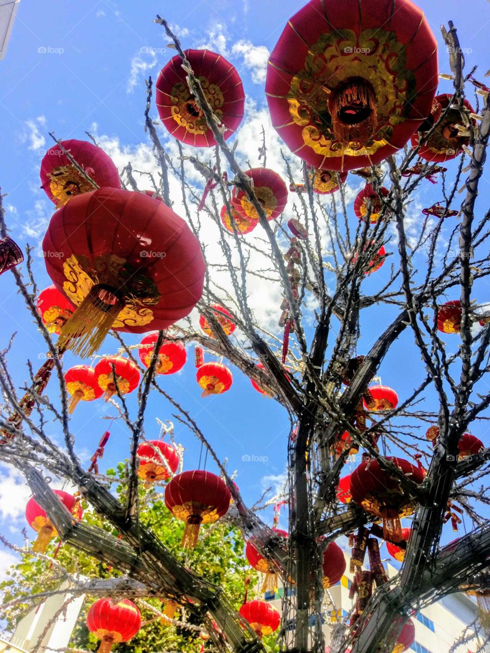 Happy Chinese New Year!