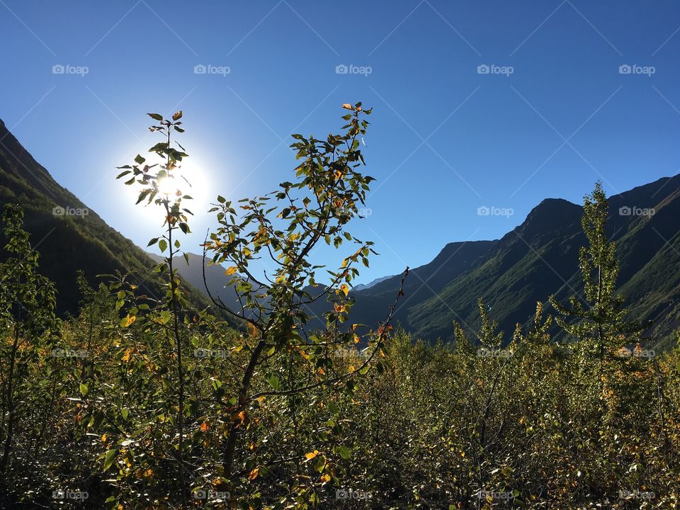 Alaska Sunrise in Crow's Pass