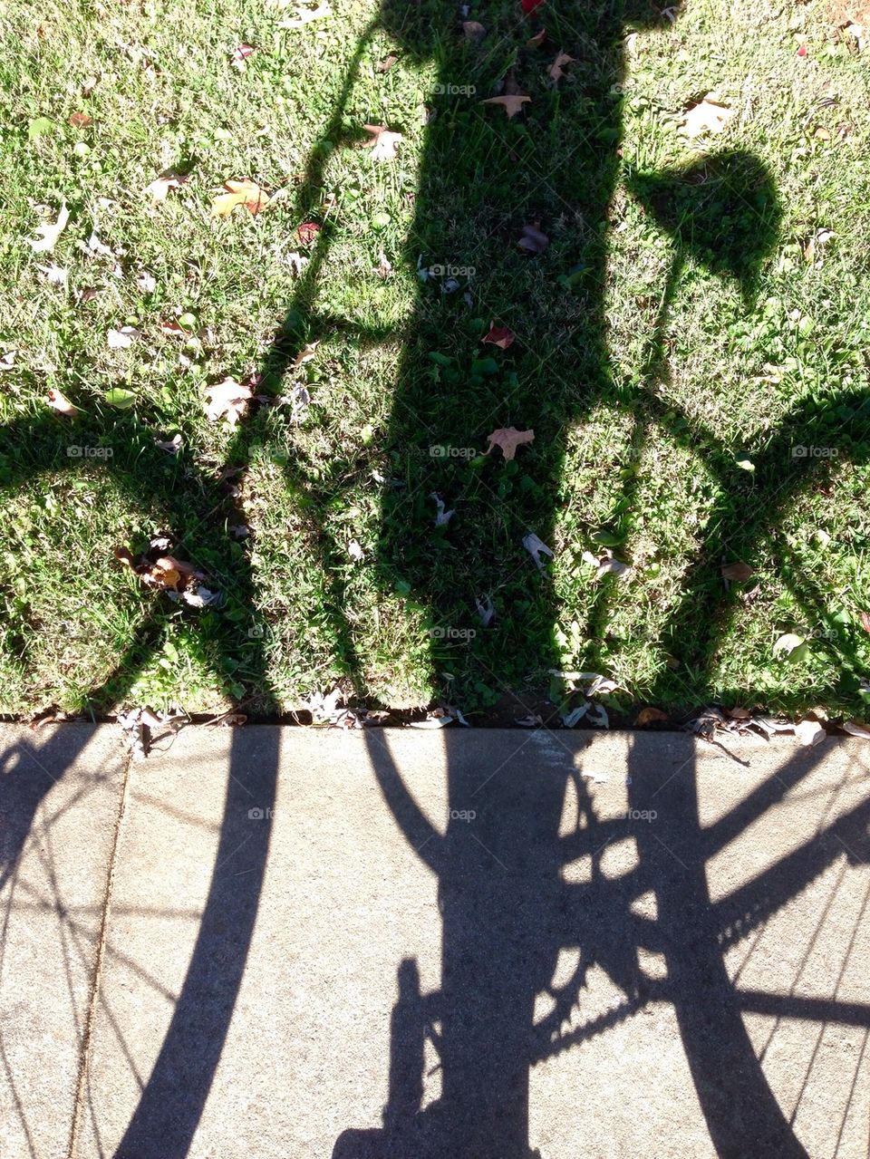 Bike Ride Shadow