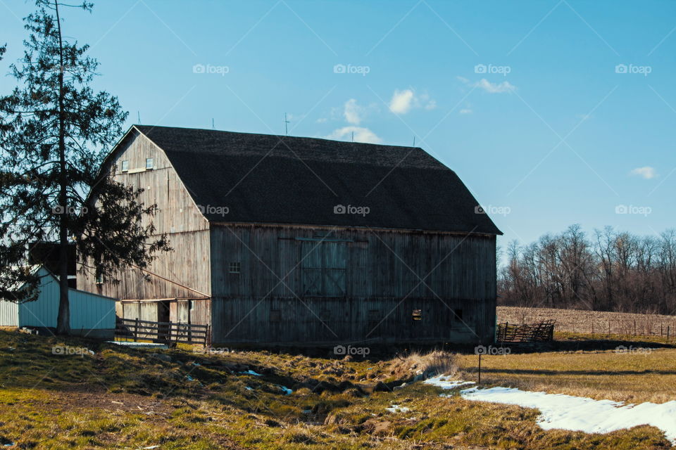 Barn