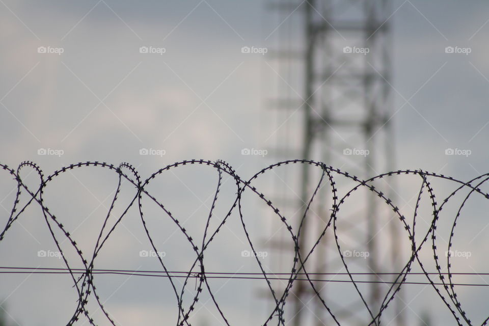 Barbed wire