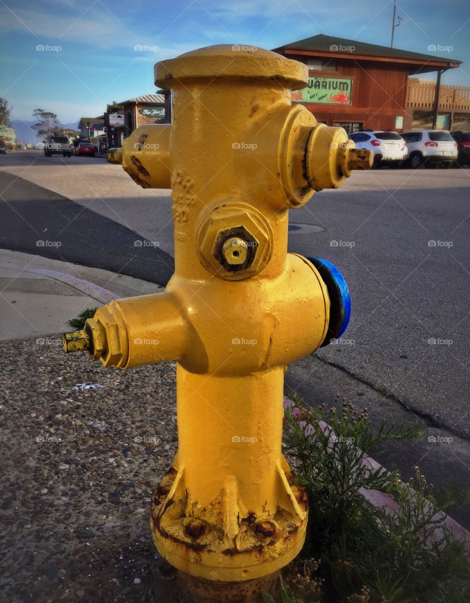 Fire hydrant 