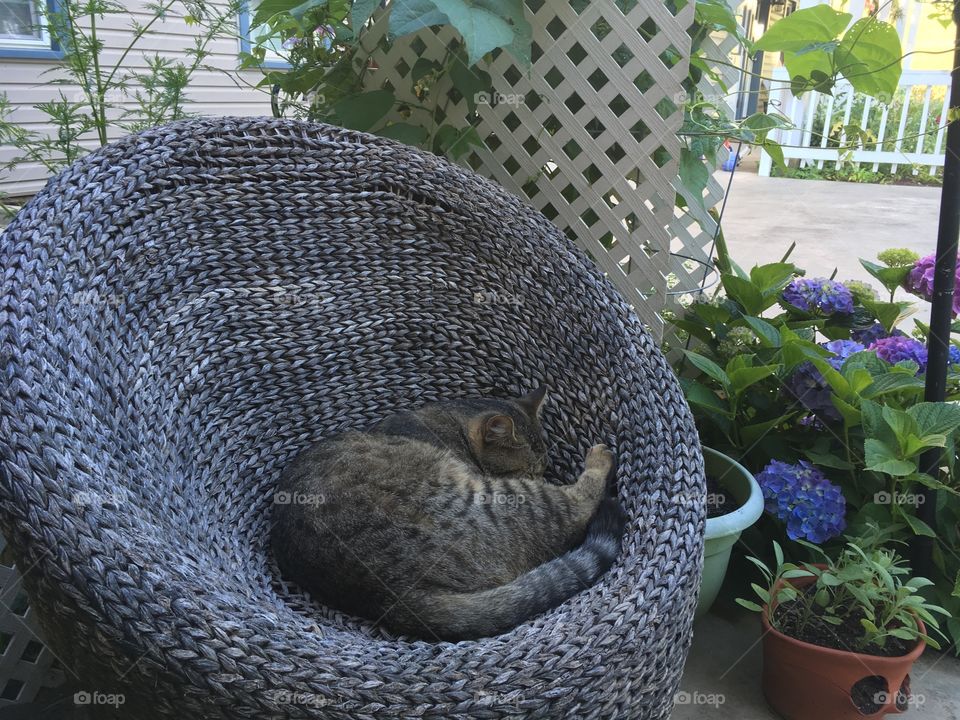 Garden nap
