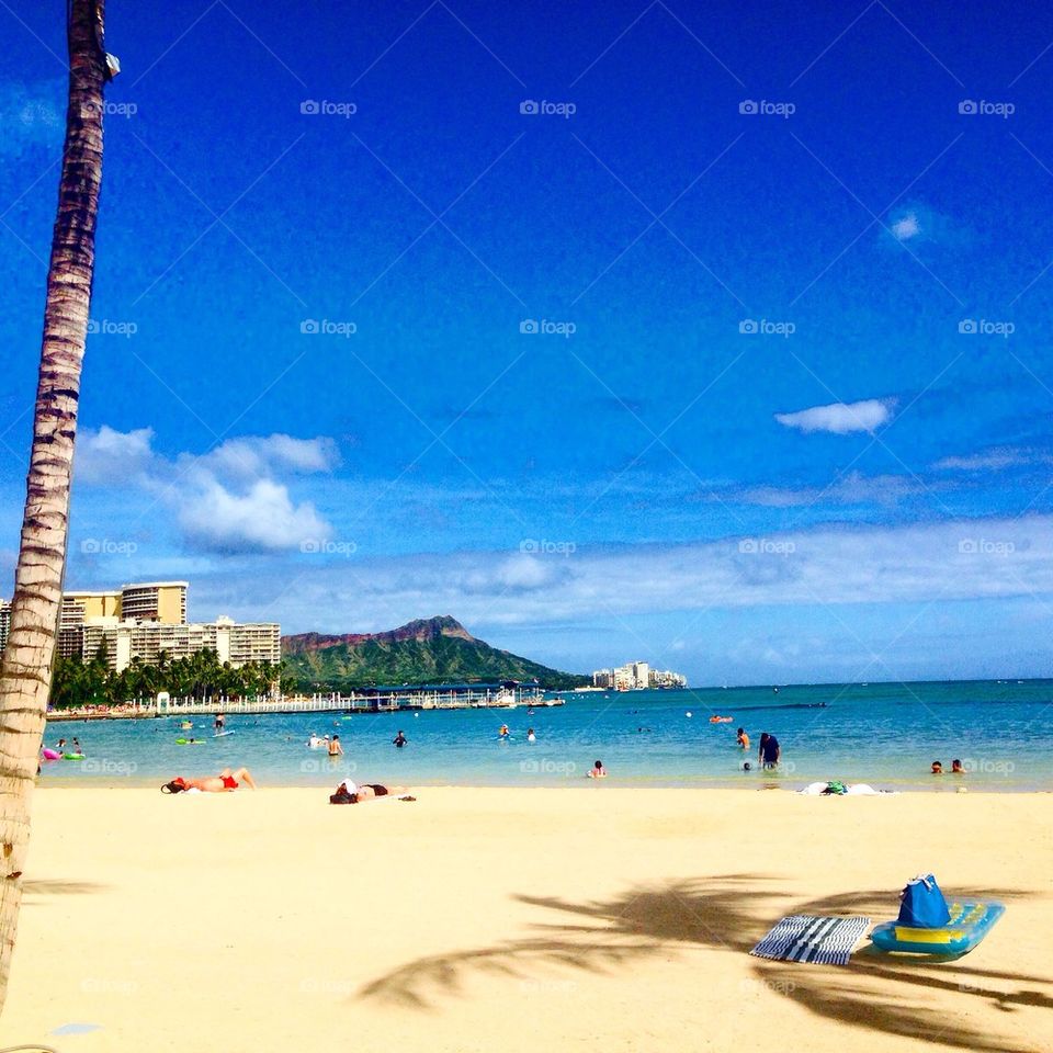 The Diamond Head View