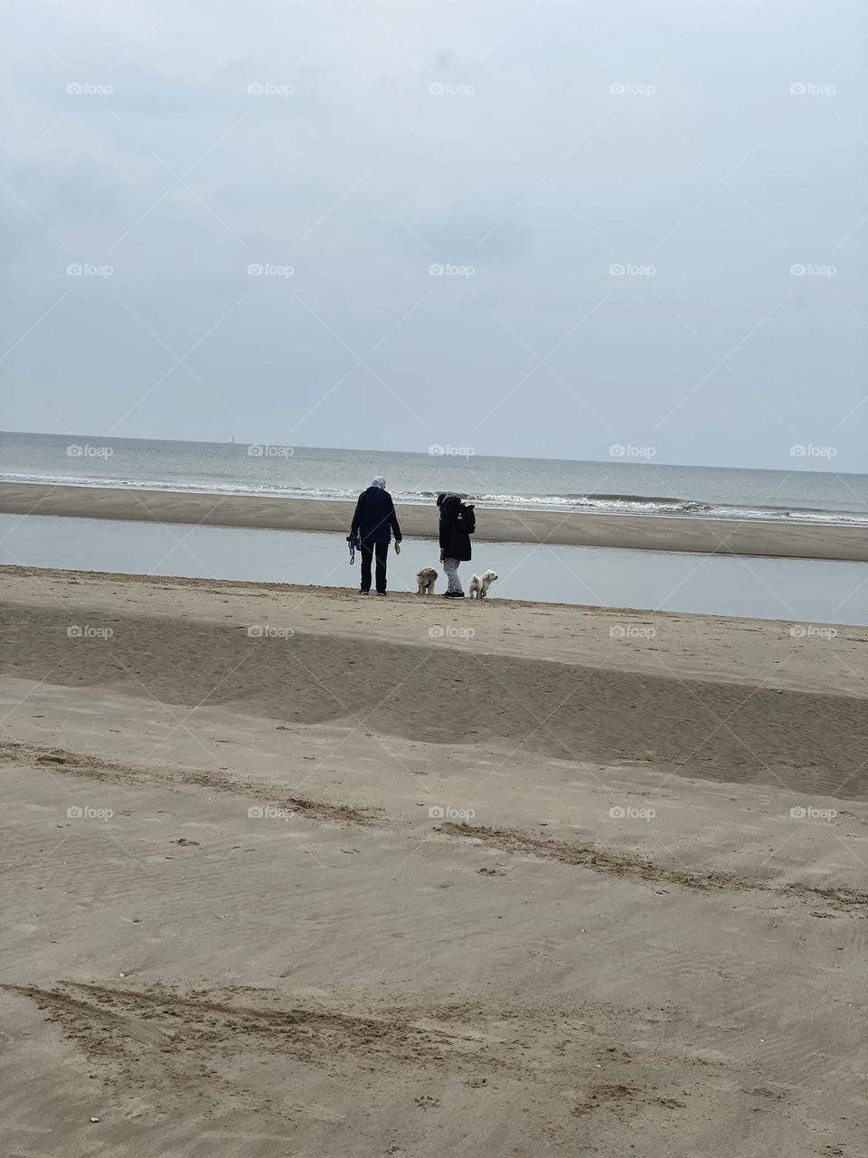 Friends taking their beloved pooch’s for a walk 