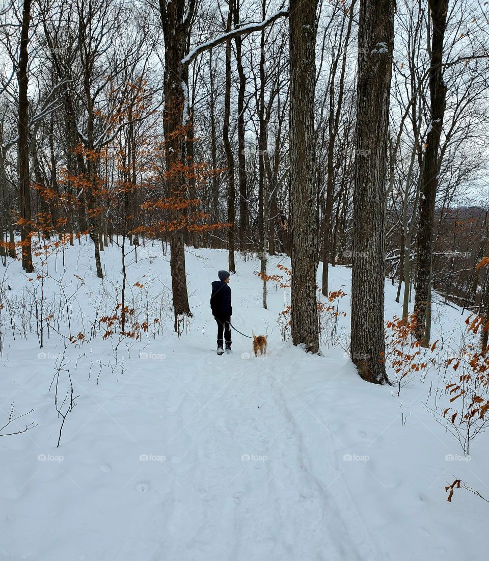 walking in the woods