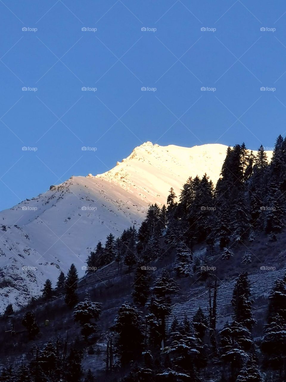 winter in northern Himalayas