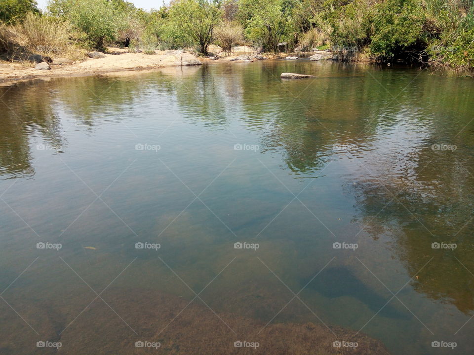 My photo is showing a beautiful river body ( Nora River, somewhere in Goromonzi, Harare, Zimbabwe, Africa)... with large rocks covered with river crops and they're all scattered on the river bed. In addition, if you zoom in a little on top of the photo, you can see a rock covered with water but still showing a little piece outside. Furthermore, other rocks and stones are outside the water - up there on the river bank - shinning with the trees and all the river crops. And lastly, but not list, the whole sky is reflecting in the water - forming a white patch on it - making us see every natural feature in the water.