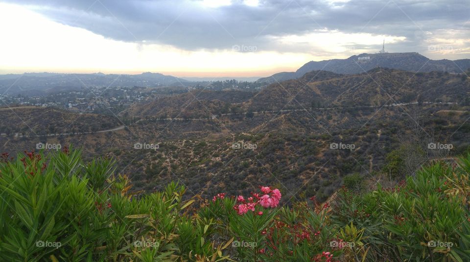 Hollywood Sign Hill