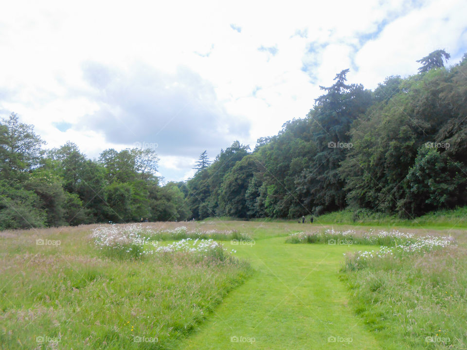 A UFO landing site in a park? Just kidding. Wildflowers, grass and lawn.