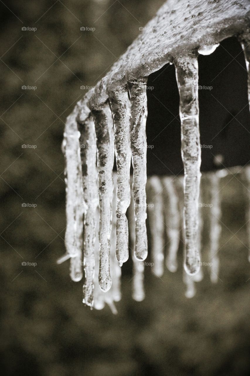 Close-up of hanging icicle