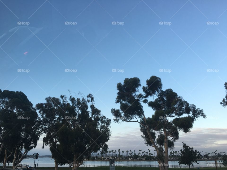 Tree, No Person, Sky, Outdoors, Landscape