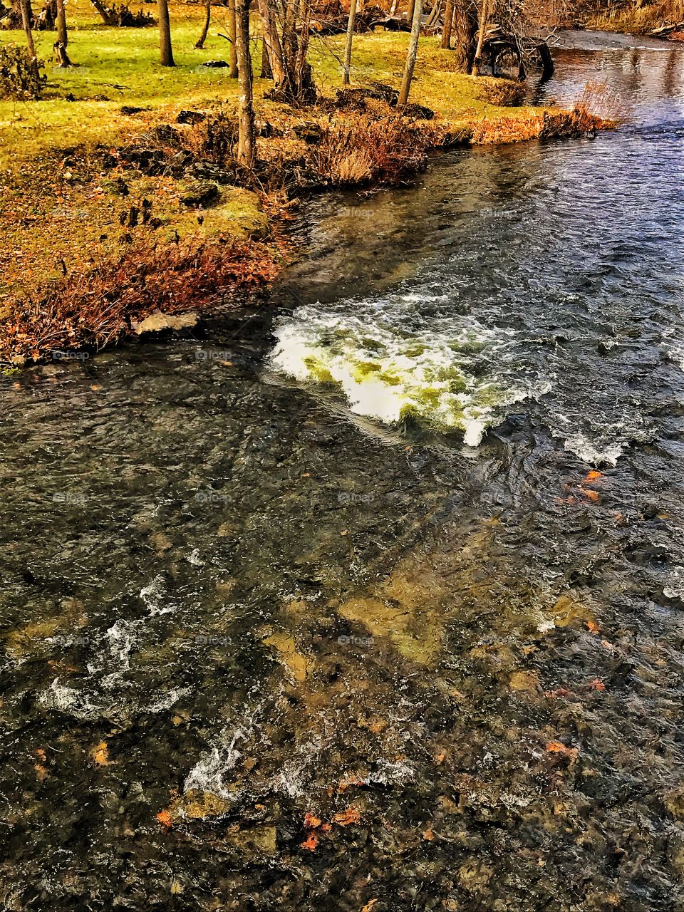 Ellicott creek