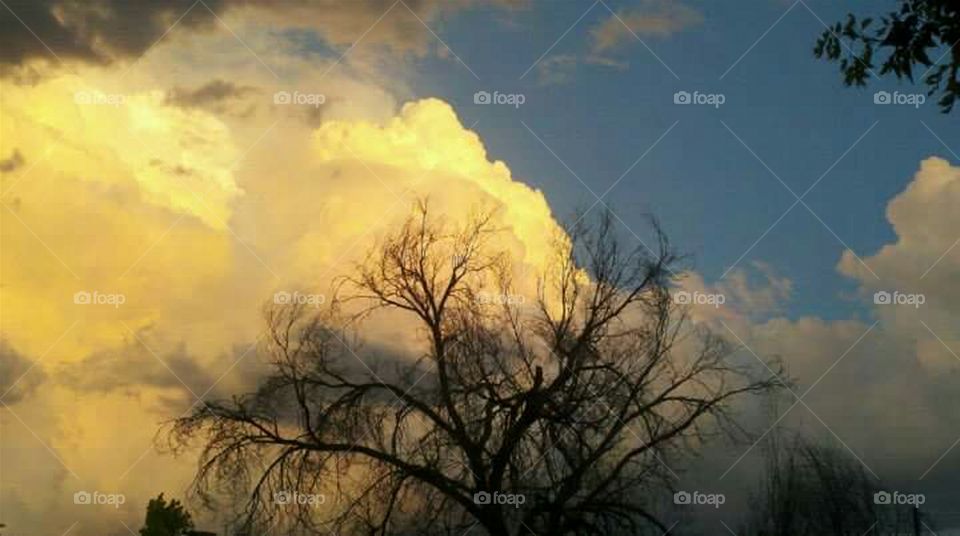 Approaching Summer Storm