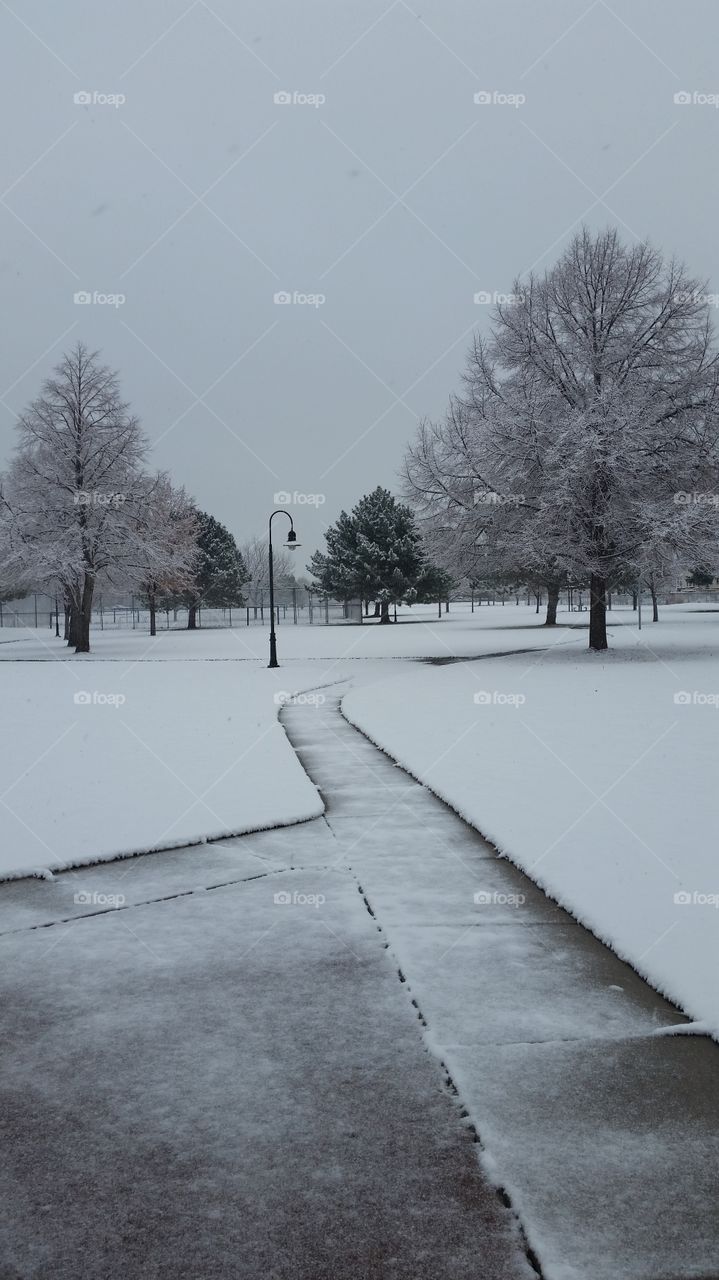 snowy park path