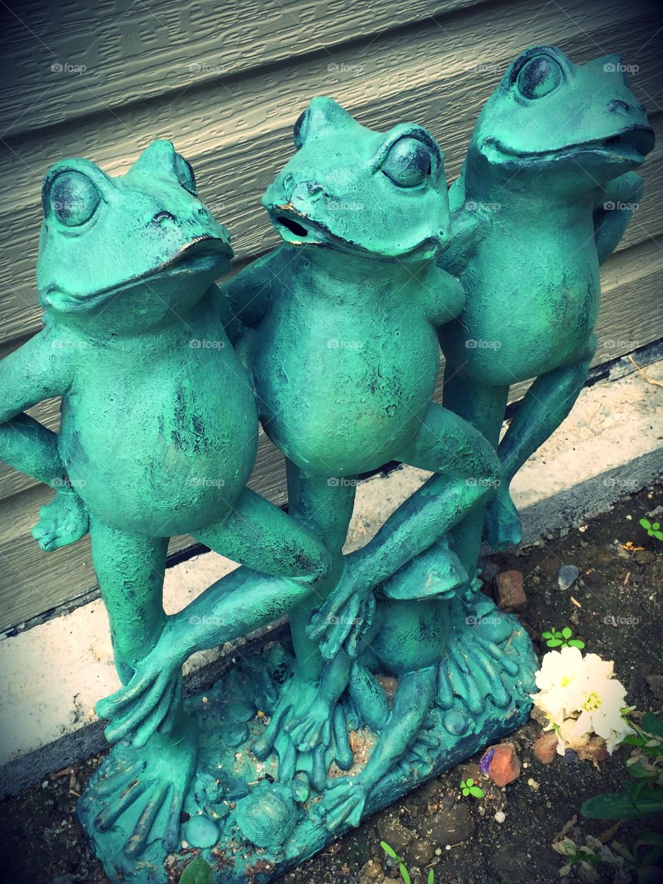 Garden frogs. Garden frogs