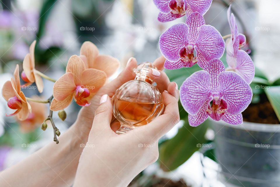 Woman hands holding a bottle of perfume. Feminine and elegance