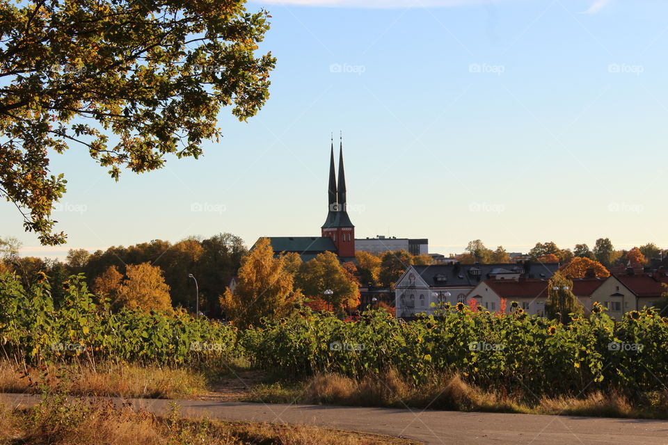 Växjö skyline