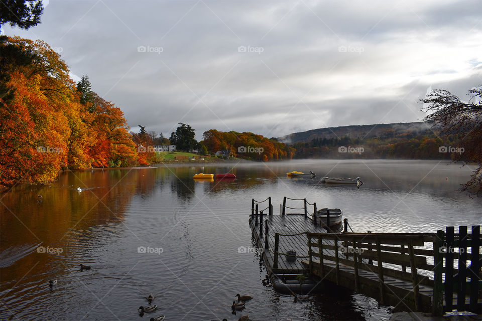 Water, Lake, River, Fall, Landscape