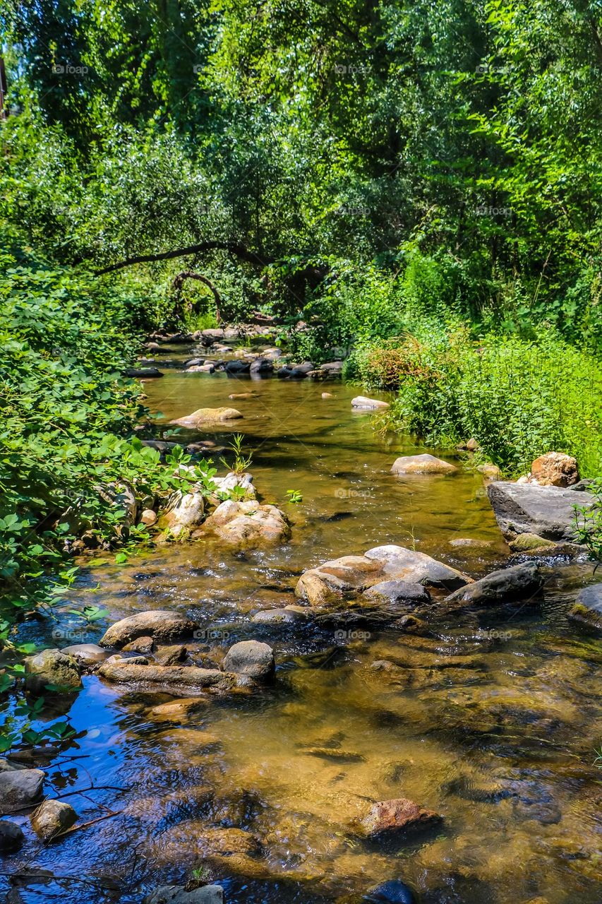 Flowing stream on a warm day in gold country at Jamestown California, refreshing and cool on a warm summer’s day 