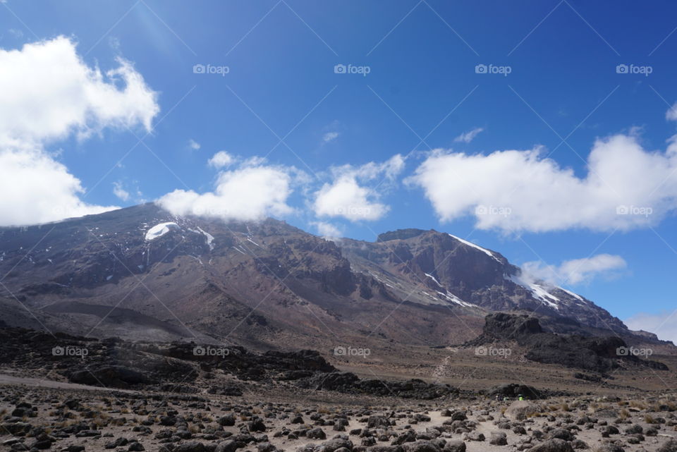 Kilimanjaro 