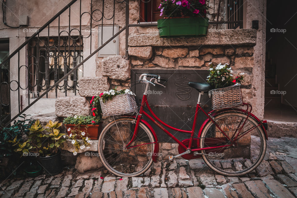 Flowers around the bicycle