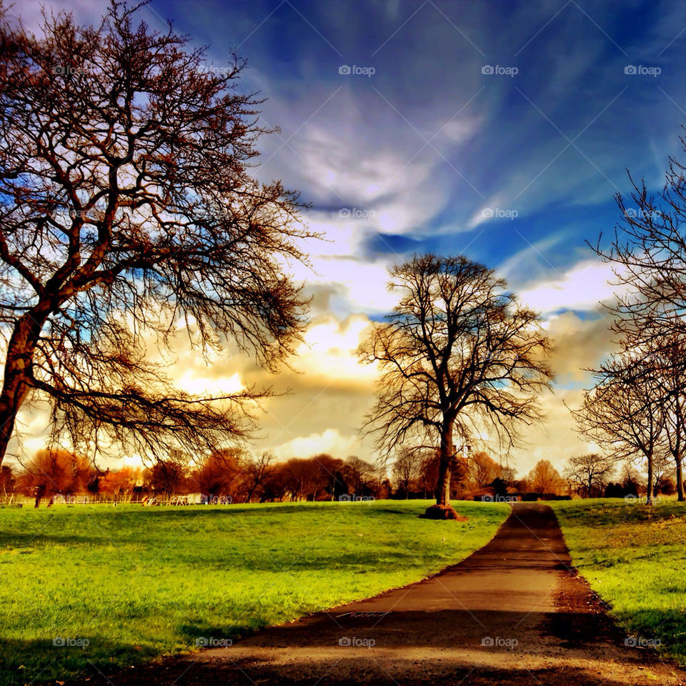 The path in the park