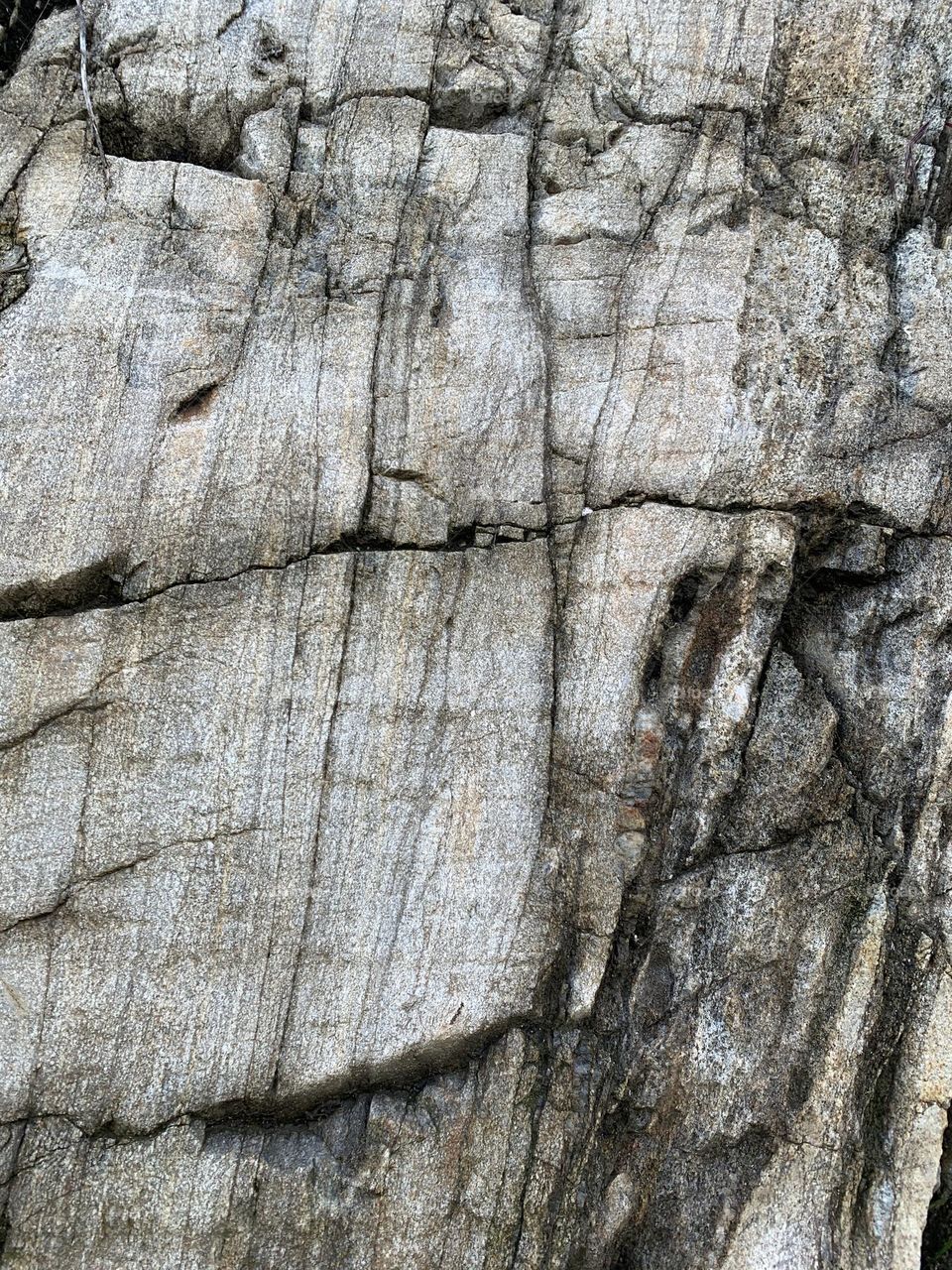 detail of the surface of a large erratic boulder in Valtellina
