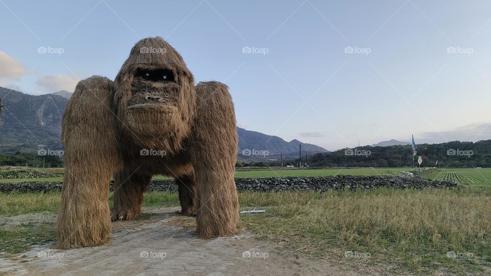 Closeup shot of a beautiful white and black and white monkey with straw background
