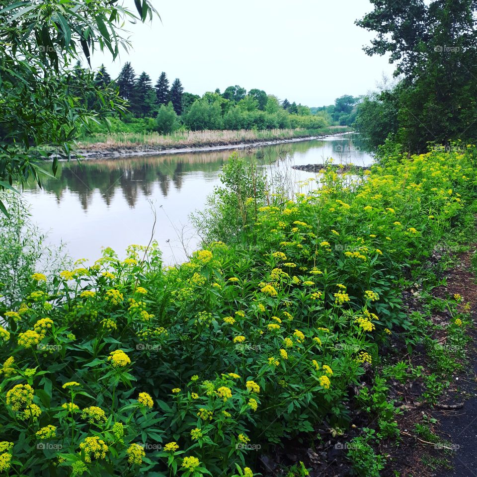 yellow and green!🌏