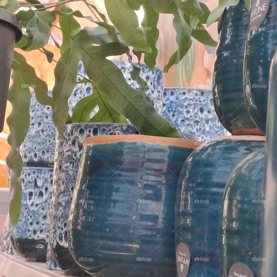 blue flowerpots on display gardencentre shelves