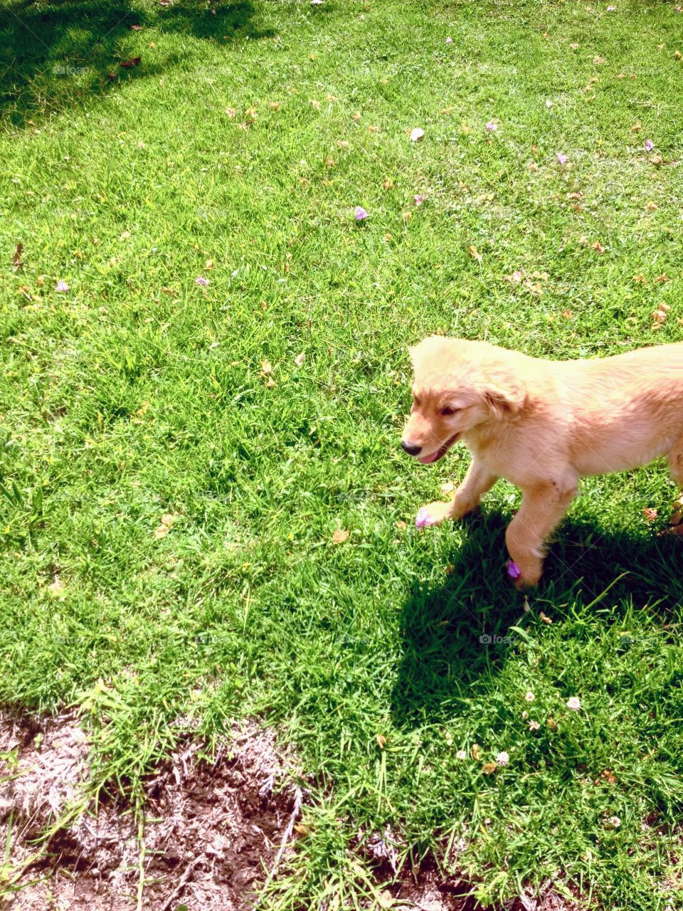 Tomas in Ecuador 